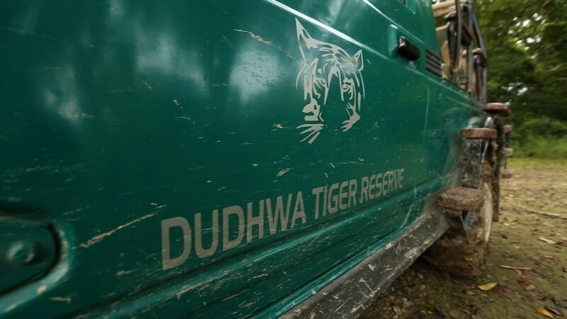 Lakhimpur Kheri: Home of Tigers- All about Dudhwa National Park